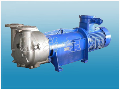 2BVA水環(huán)式真空泵